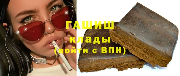 индика Абаза