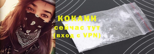 индика Абаза