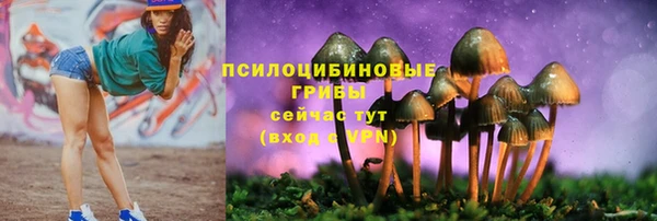 метадон Алексин