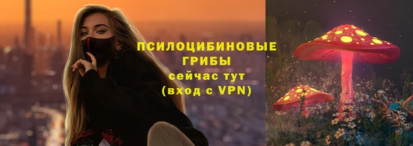 индика Абинск