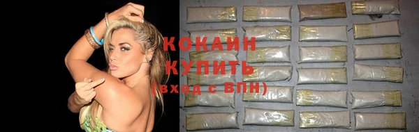 индика Абинск