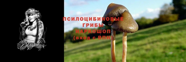 сатива Алексеевка