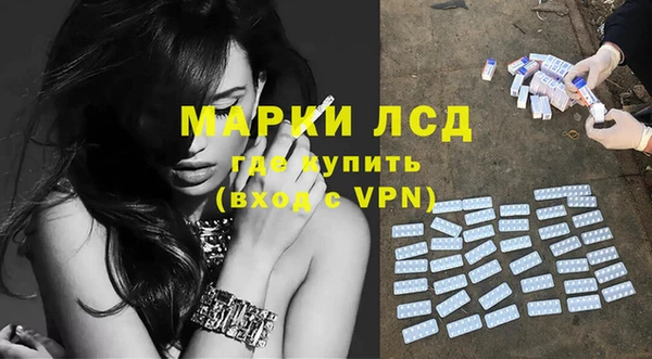 индика Абаза
