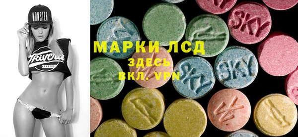 индика Абаза