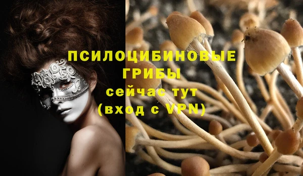 индика Абинск