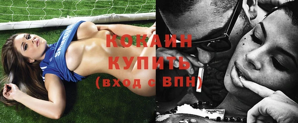 индика Абаза