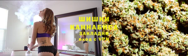 индика Абинск