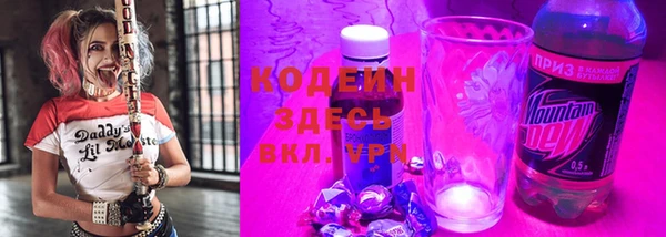 индика Абинск