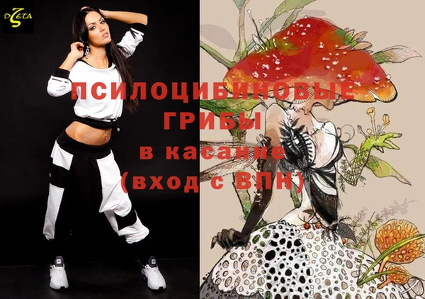 индика Абаза