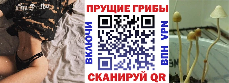 Псилоцибиновые грибы мухоморы  Иланский 